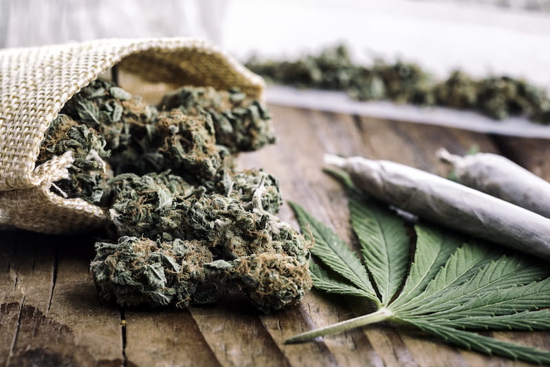 cannabis