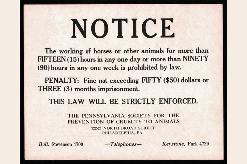A plain off-white colored poster with the following message in black ink print "NOTICE// The working of horses or other animals for more than FIFTEEN (15) hours in any one day or more than NINETY (90) hours in any one week is prohibited by law.// PENALTY: Fine not exceeding FIFTY ($50) dollars or// THREE (3) months imprisonment.// THIS LAW WILL BE STRICTLY ENFORCED.// THE PENNSYLVANIA SOCIETY FOR THE// PREVENTION OF CRUELTY TO ANIMALS// 922-924 NORTH BROAD STREET// PHILADELPHIA, PA.// Bell, Stevenson 4700// -Telephones-// Keystone, Park 4729".
